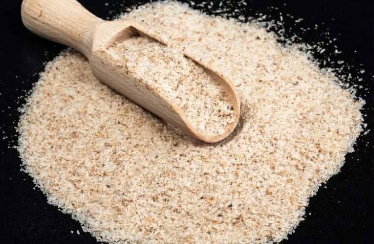 I Always Recommend Psyllium Husk to Dogs – But What Exactly Is It and What Are Its Benefits?
