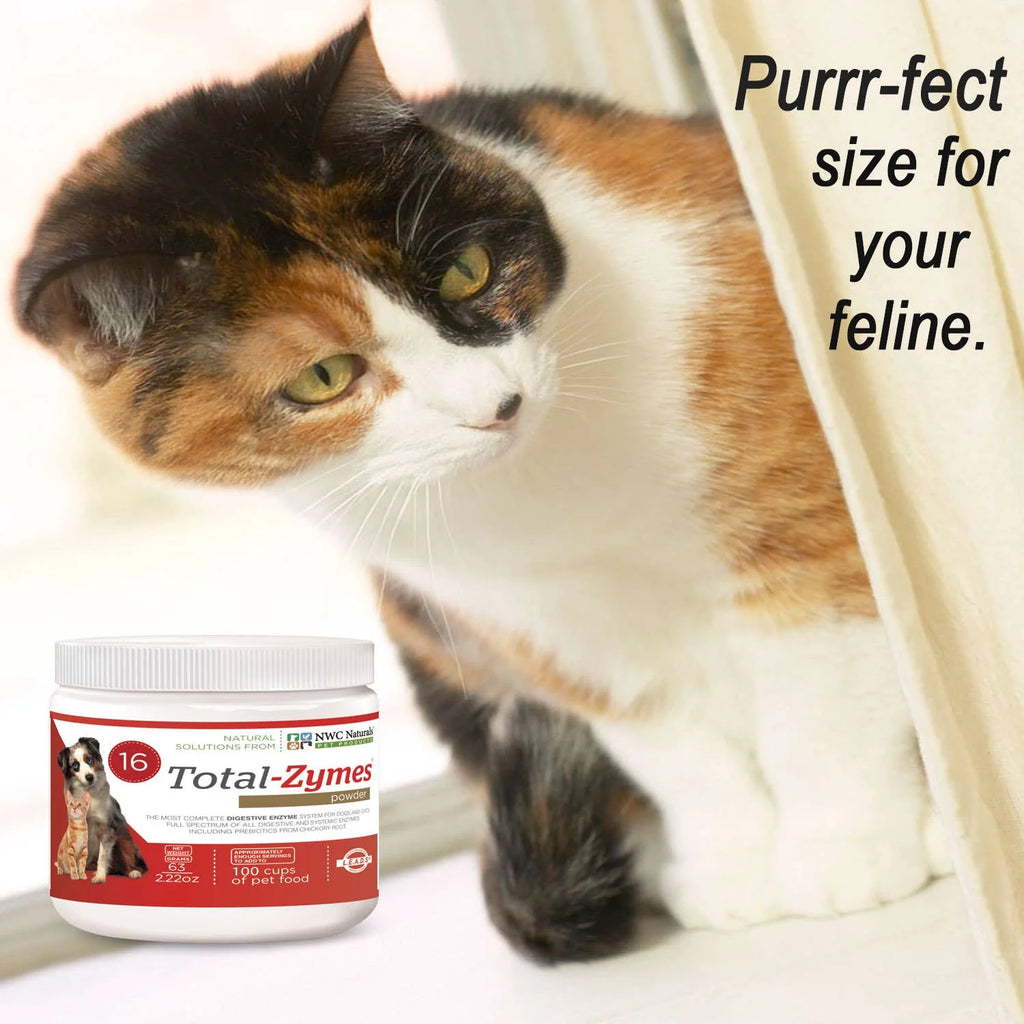 Total-Zymes® Powder Digestive Enzymes and Prebiotcs 63g