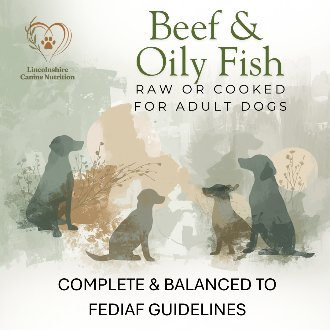 Raw or Gently Cooked Beef & Oily Fish Recipe for Adult Dogs