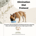 Elimination Diet Protocol Digital Download