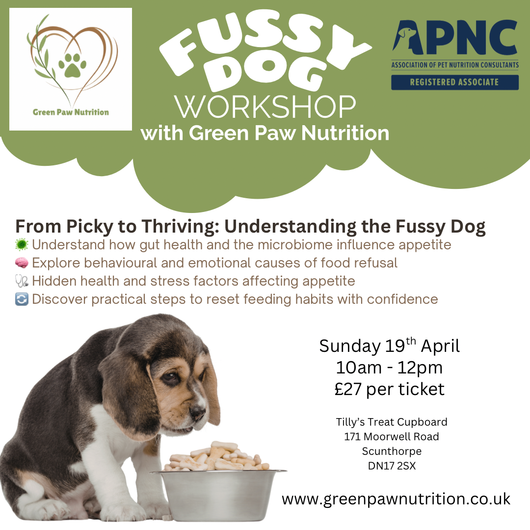 Fussy Dog Workshop (in-person event)
