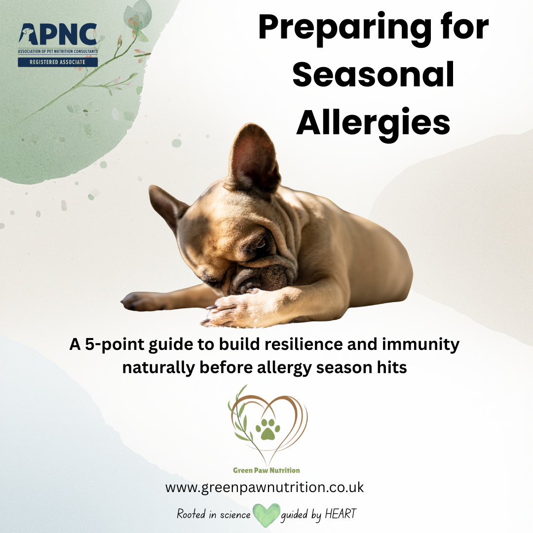 Preparing for Seasonal Allergies