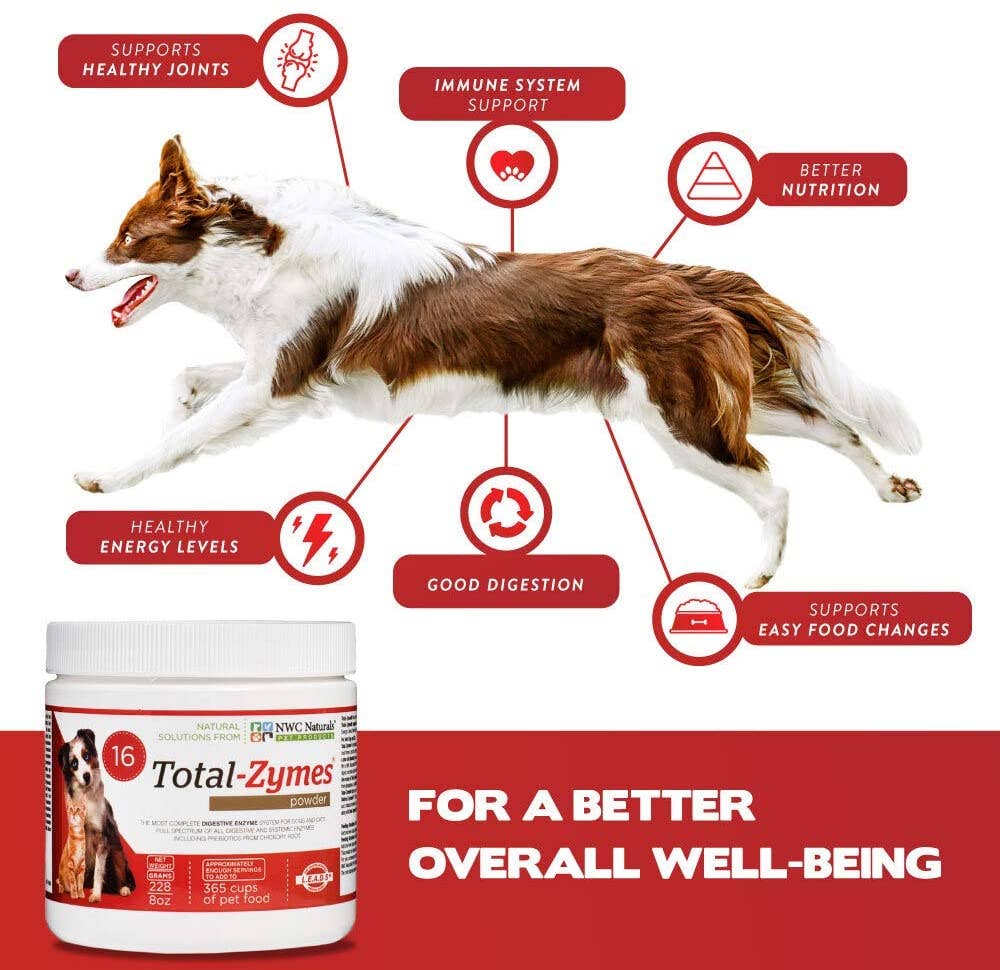 Total-Zymes® Powder Digestive Enzymes and Prebiotcs 63g