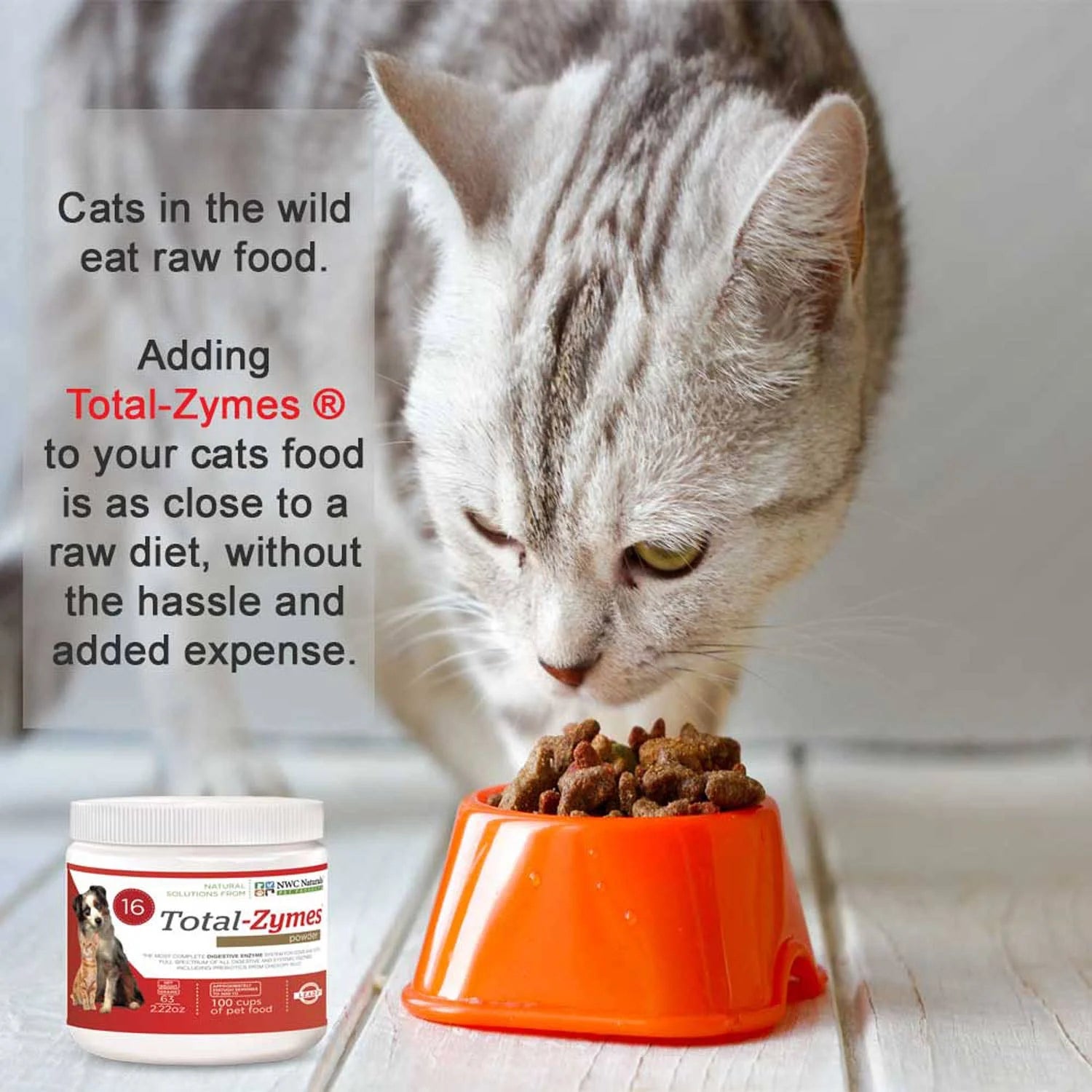 Total-Zymes® Powder Digestive Enzymes and Prebiotcs 63g