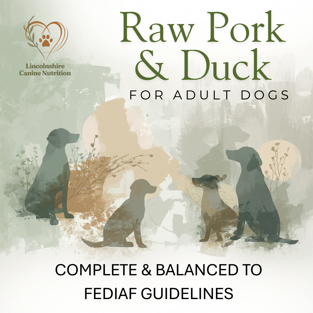 Raw Pork & Duck Recipe for Adult Dogs