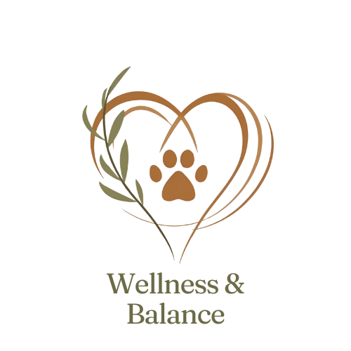 Wellness & Balance Programme: Standalone Consultation